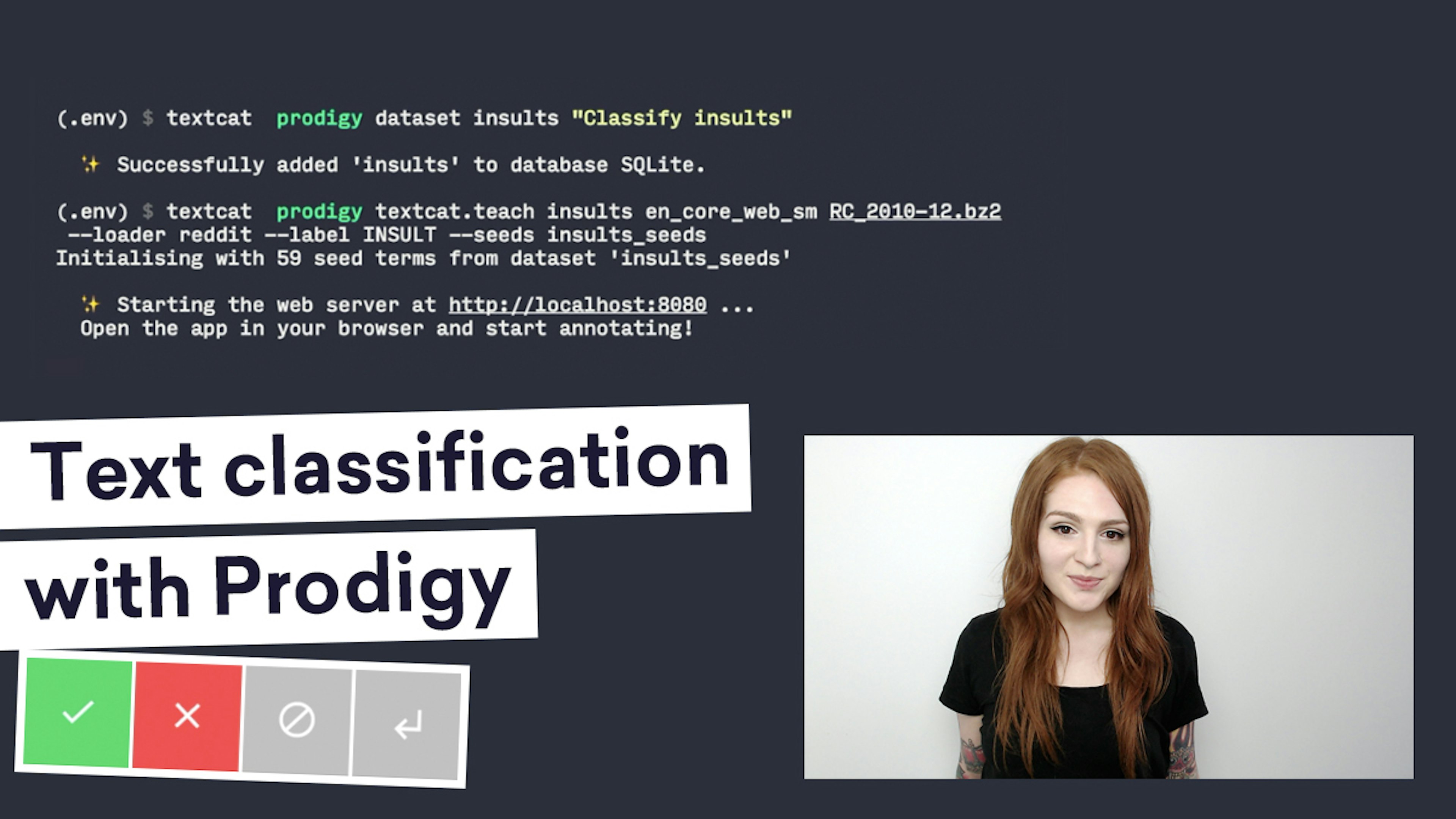 Training an insults classifier with Prodigy in ~1 hour