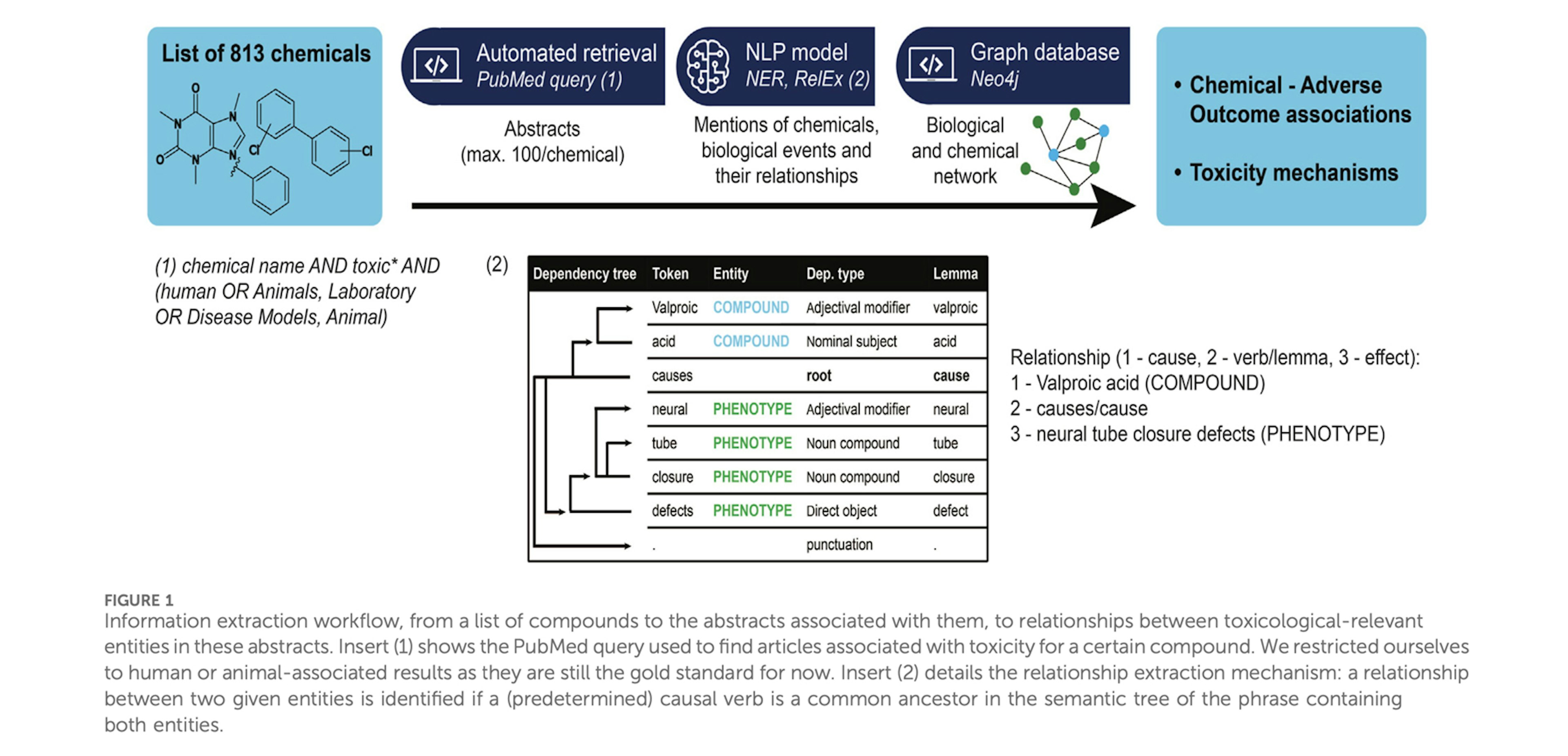 The application of natural language processing for the extraction of mechanistic information in toxicology