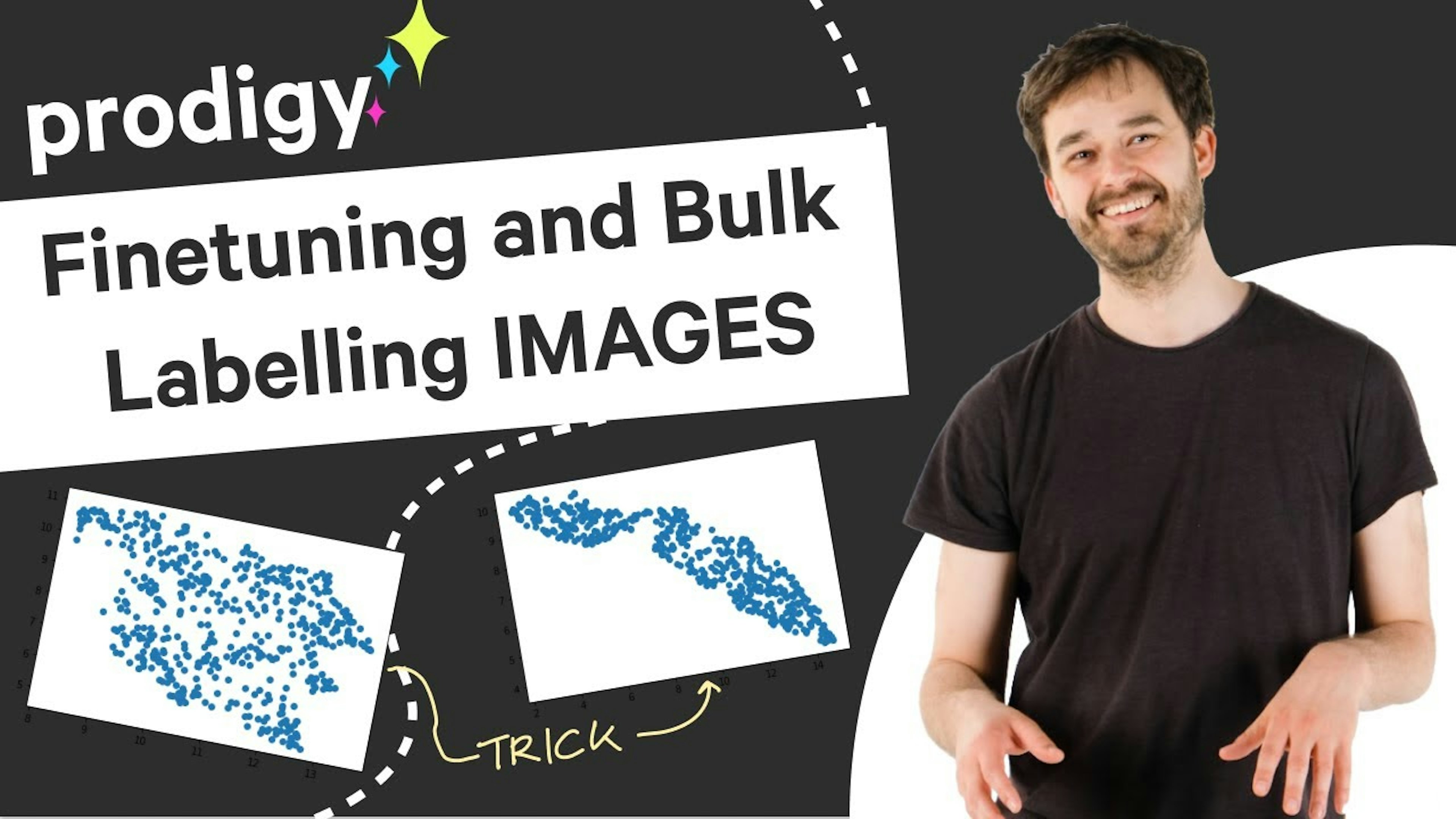 Finetuning and Bulk Labelling Images with Prodigy 