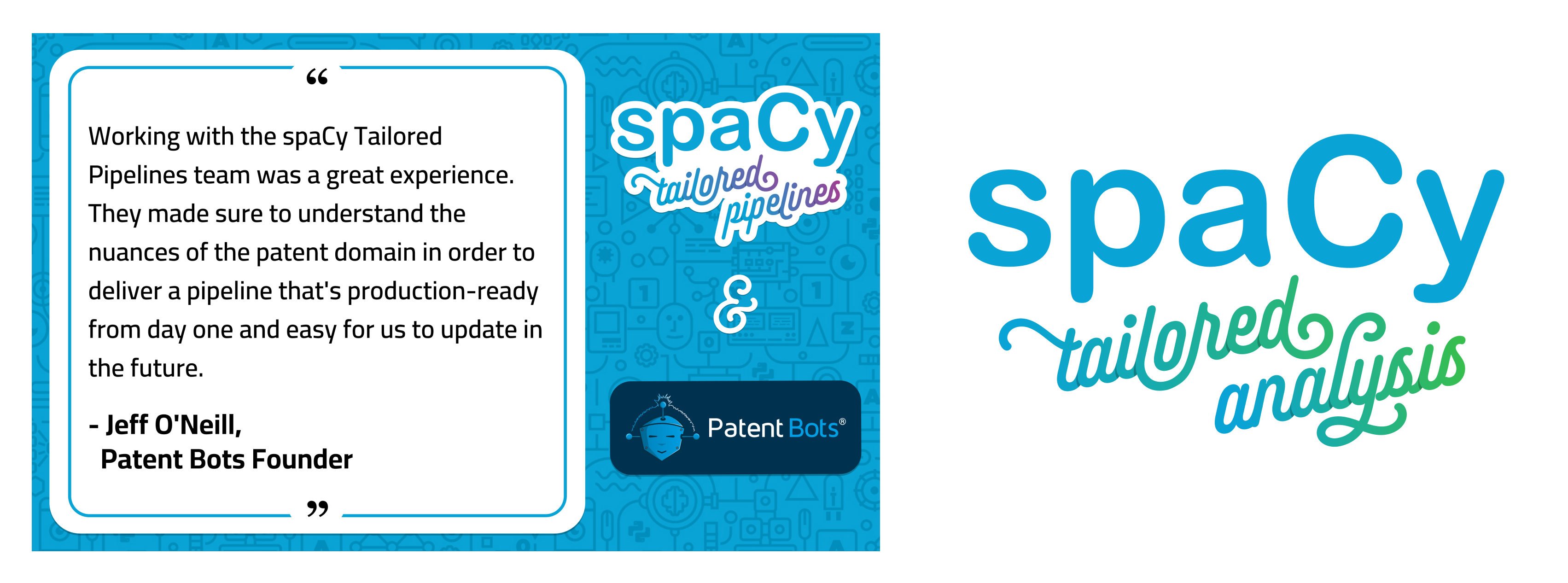 spaCy tailored pipelines and spaCy tailored analysis